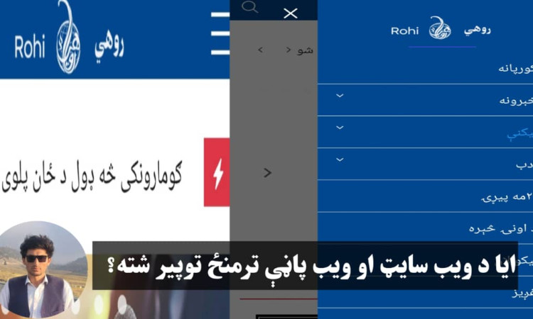   ایا د ویب سایټ او ویب پاڼې ترمنځ توپیر شته؟