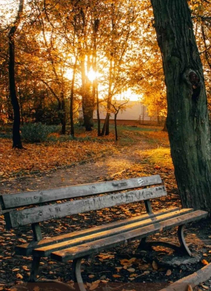 ژوند هغه سوالونه چې ځواب نه لري: اته فکرونه چې انسان پرې غلی شي
