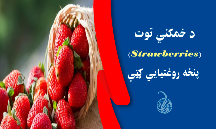 د ځمکني توت (Strawberries) پنځه روغتيايي ګټې 