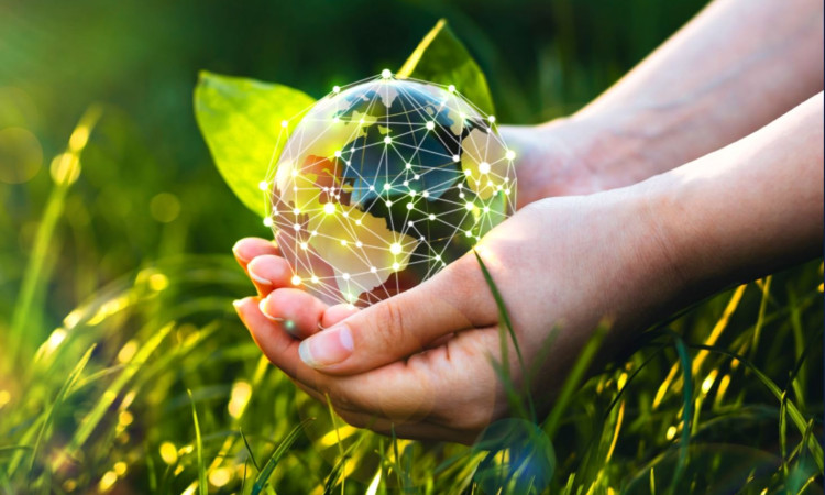     د نوښت او شنه اقتصادي ودې لید او فُرصتونه