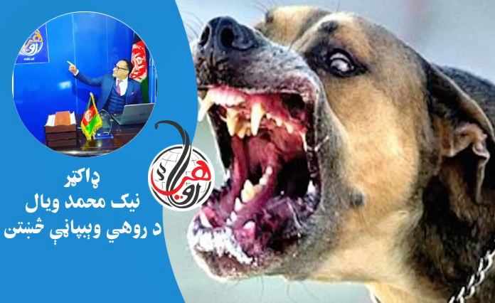 د ليوني سپې ناروغي (Rabies) څه ډول ناروغي ده؟ نښې - نښانې او درملنه يې