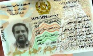 د برېښنايي پېژندپاڼو اهميت، او ګټې يې