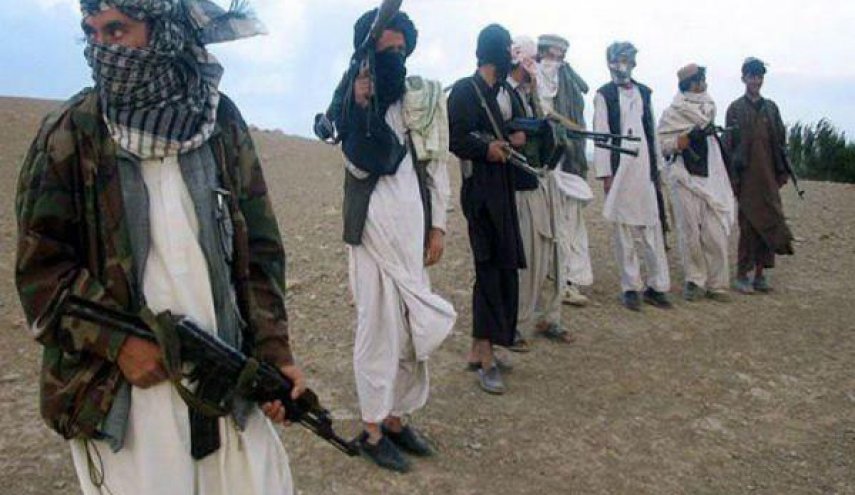 نړیوال دې زموږ احسان ومني