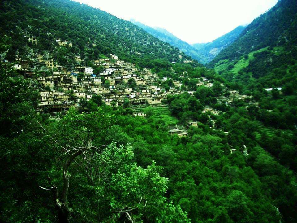 وطن کې یوازې د سولې کمی دی