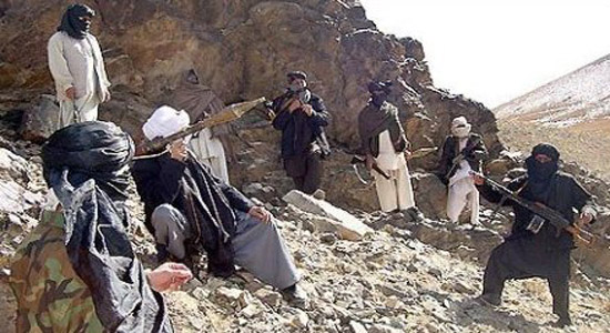 د ترهګرۍ د ریښو وچول