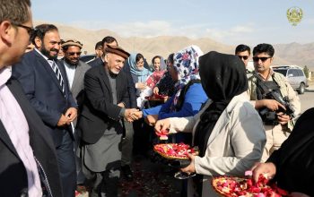 د ولسمشر غني د واکمنۍ لاسته راړنو ته لنډه کتنه