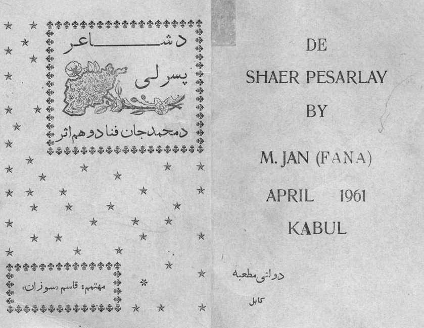 د شاعر پسرلی  (معرفی کتاب)  
