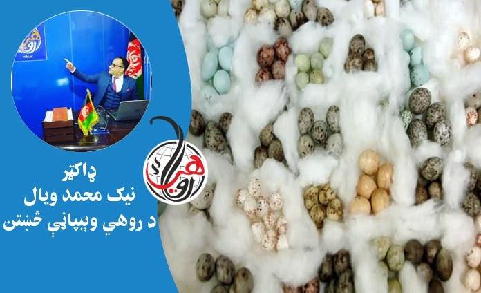 ساينس پوهان: ولې د (مرغانو هګۍ مختلف رنګونه) لري؟ 
