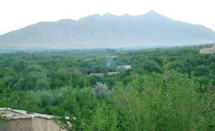 اروزګان کي پنځه سوه ښځو ته کورني باغچي جوړيږي
