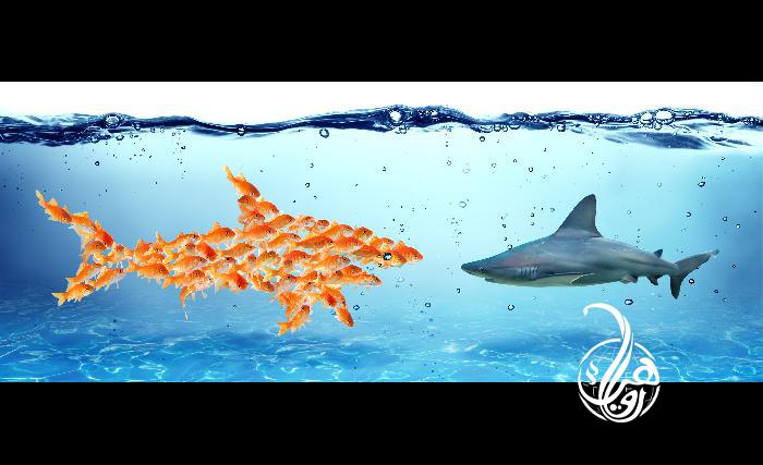 ډله ییزه کړنه یا کار مه هېروئ!