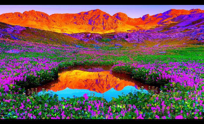 پنځ یا طبعیت بې طرفه دئ!