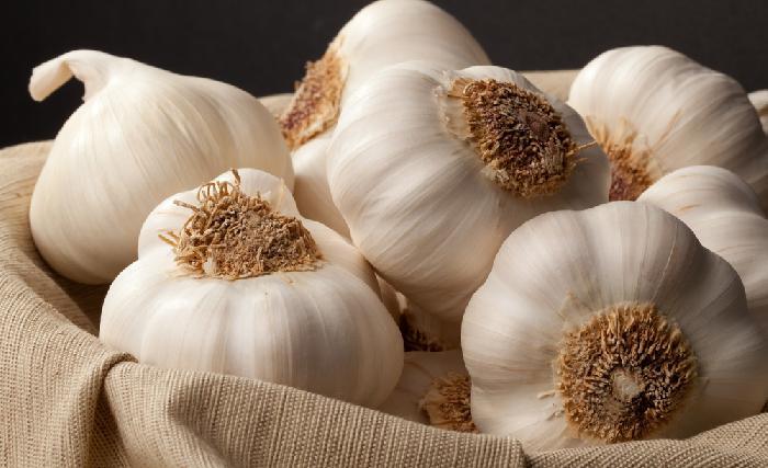  هوږه د سرطان په مخنیوي کې اغېزناکه ده