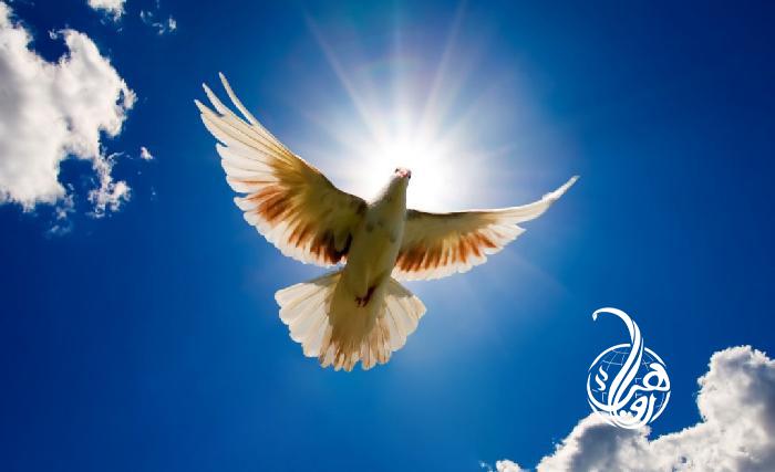 د سولې لپاره ټکني ګامونه او د خلکو اندېښنې