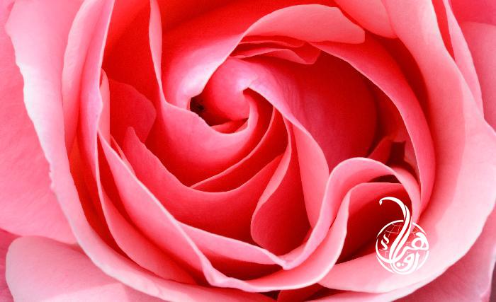 ګټوربوټي: کشمالی، د ګلابو اوبه او کوپره/ دوهمه برخه