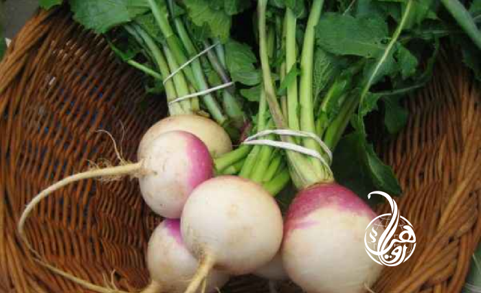 د شلغم حیرانوونکې ګټې