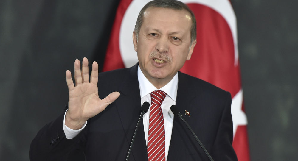 رجب طیب اردوغان په سوريې د لوديځې نړۍ د هوايي بريدونو هرکلی او ملاتړ کړی