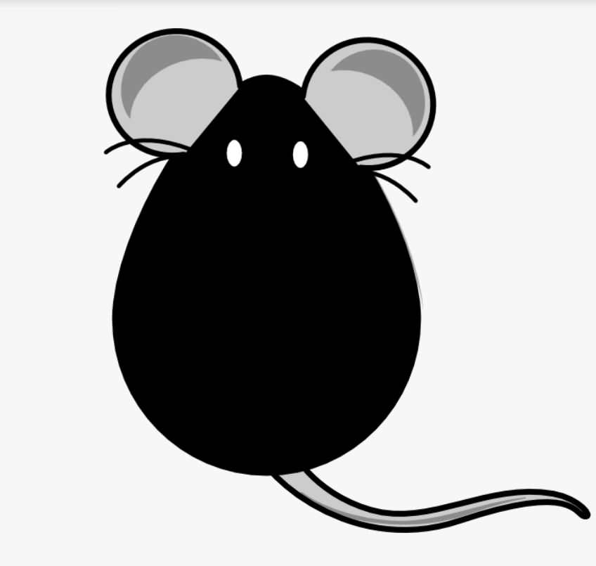 اعتراض موشان افغانستان (طنز)