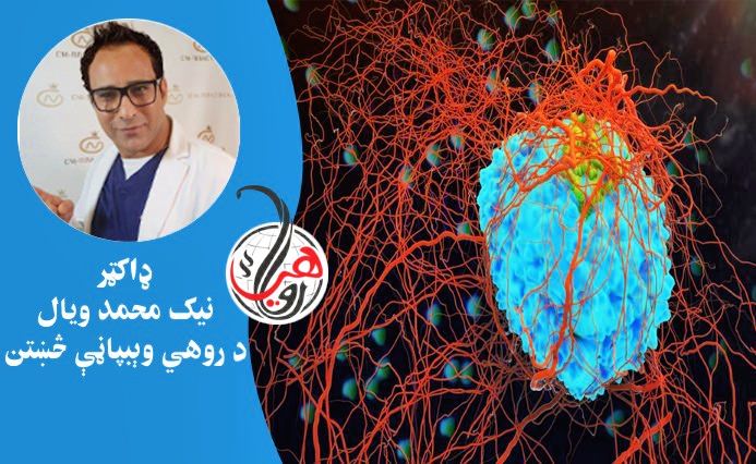 د سرطان (Cancer) څلور ستر لاملونه 