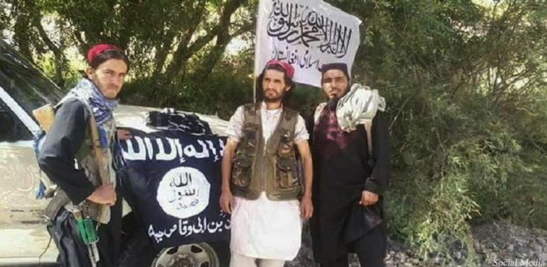 داعش و طالب نمی توانند بر اراده ملت غالب آیند
