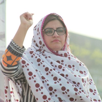 صبا اسماعیل: پولیسو د ګلالۍ اسماعیل پر کور چاپه وهلې   