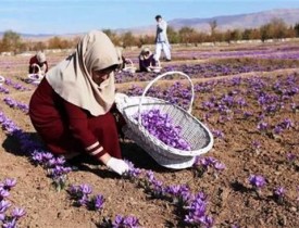   افغانستان باید له مالي پلوه پر ځان بسیا شي   