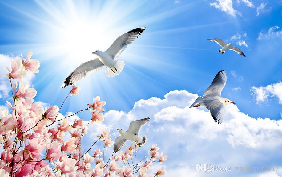 د سولې یو نوی امید