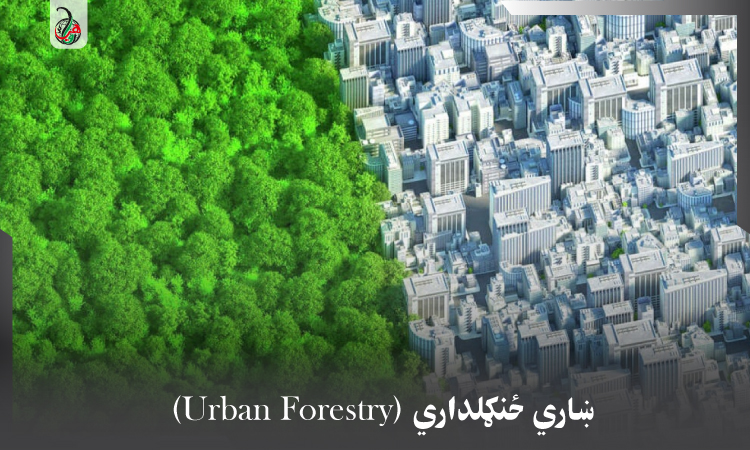 ښاري ځنګلداري(Urban Forestry)