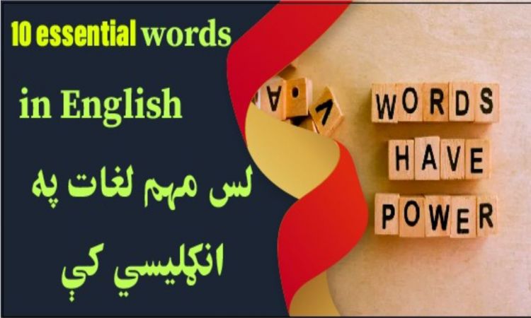 پښتو مانا سره، په انګلېسي ژبه لس مهم سياسي لغات | With Pashto Meaning, Ten English Political Words
