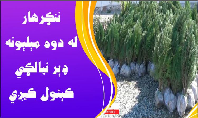  ننګرهار کې دوه مېلېونه نيالګي کېنول شوي